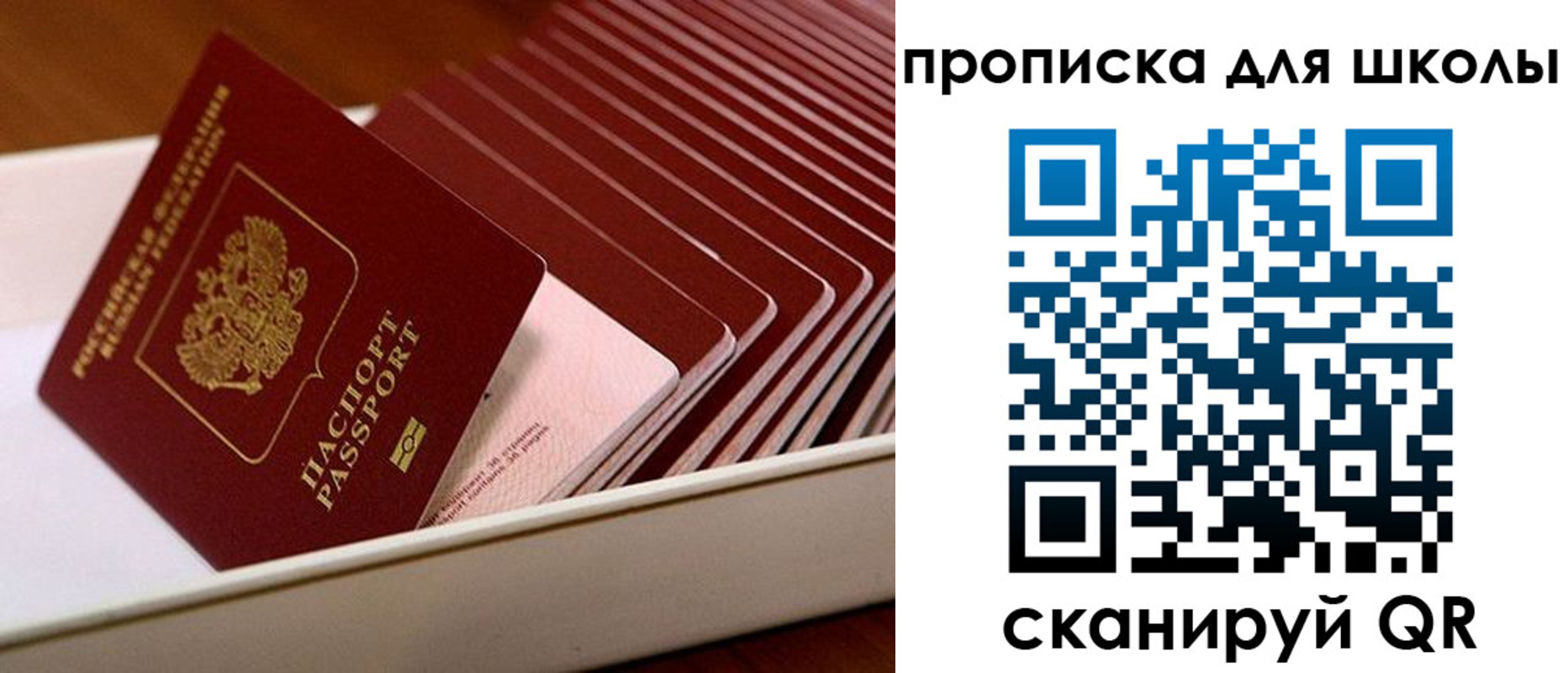 временная регистрация гарантия в Тамбове
